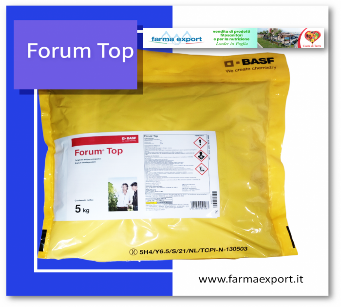 Forum Top