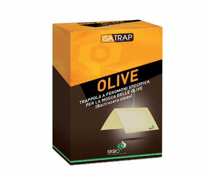 Isatrap Olive
