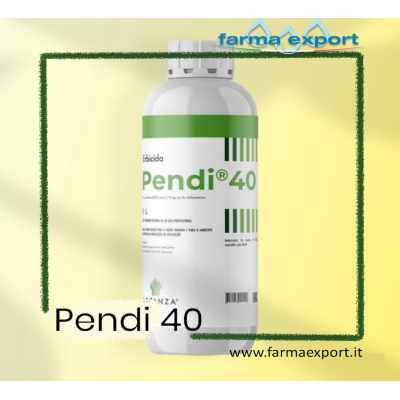 PENDI 40